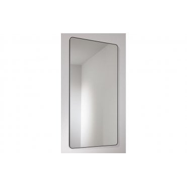Abode Mayar 450x900mm Tablet Mirror