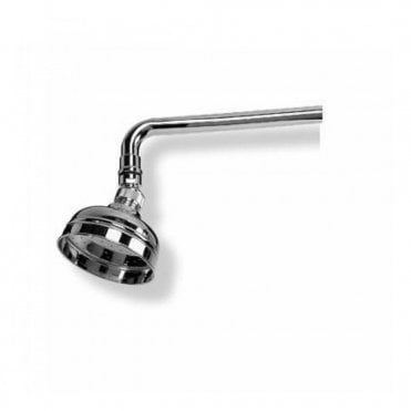 Barber Wilsons 5" Skirted Shower Rose - PS10S