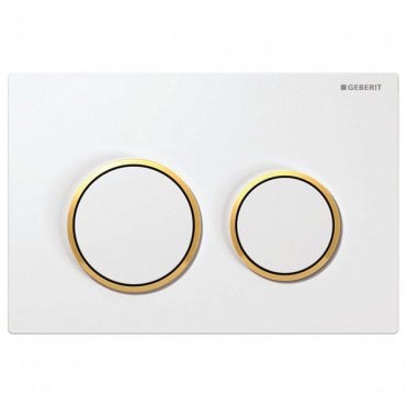 Geberit Kappa21 Dual Flush Plate