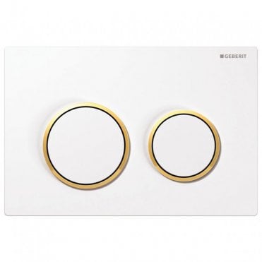 Geberit Omega20 Dual Flush Plate