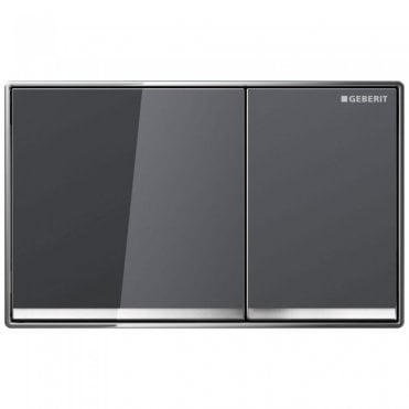 Geberit Omega60 Flush Plate