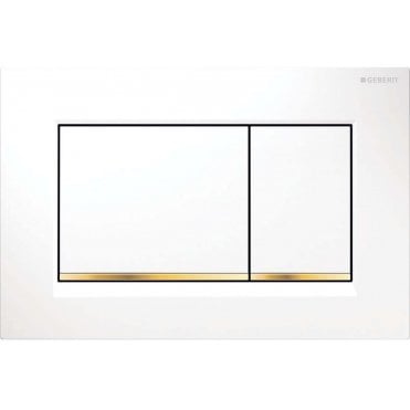 Geberit Sigma30 Dual Flush Plate