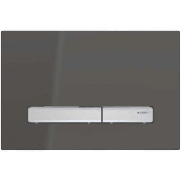 Geberit Sigma50 Dual Flush Plate