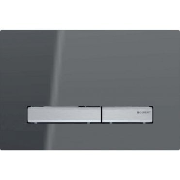 Geberit Sigma50 Dual Flush Plate