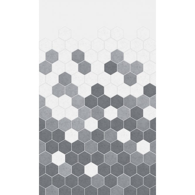 Kinewall  Grey Monochrome Hexagon Wall Panel. Various Sizes