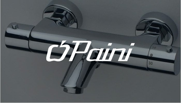 Paini