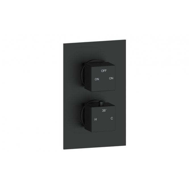 Plumb Warehouse Adriania Thermostatic Two Outlet Twin Shower Valve  (Choose Finish)