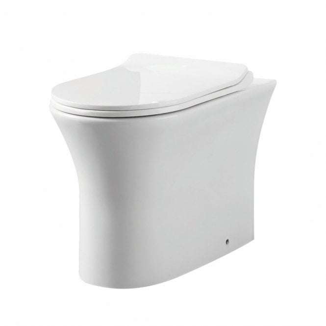 Plumb Warehouse Deia Rimless Comfort Height Back To Wall Toilet With Wrap Over Soft Close Seat