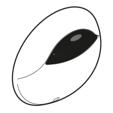Rada Pulse 120 Sensor 2.1.093.87.1