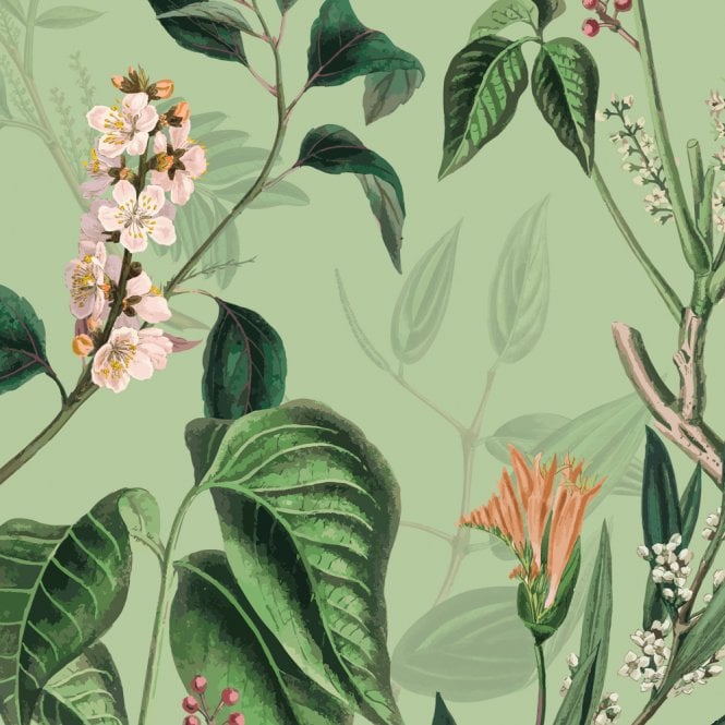 Showerwall  Acrylic Wall Panel Pack -  Blossom SCA72 (Choose Size)