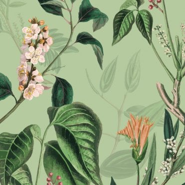 Showerwall Acrylic Wall Panel Pack -  Blossom SCA72 (Choose Size)