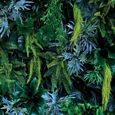 Showerwall Acrylic Wall Panel Pack -  Plant Wall SCA63 (Choose Size)